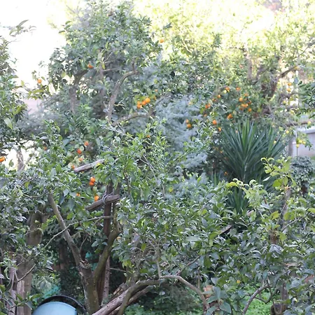 Domus Marziale Apartmán *